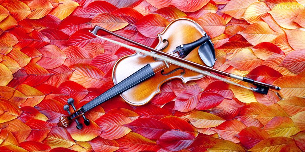 孩子正在学习小提琴请教专家有哪些值得注意的事项